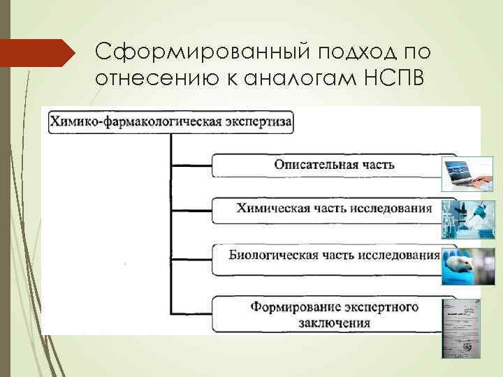 Сформированный подход по отнесению к аналогам НСПВ 
