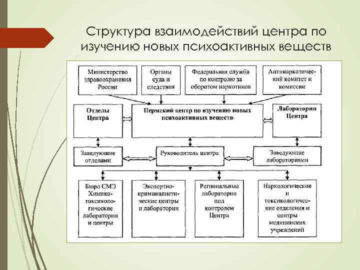 Структура взаимодействий центра по изучению новых психоактивных веществ 