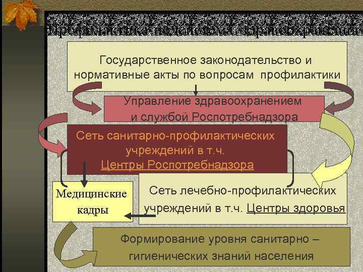 Профилактика-подсистема здравоохранения Государственное законодательство и нормативные акты по вопросам профилактики Управление здравоохранением и службой