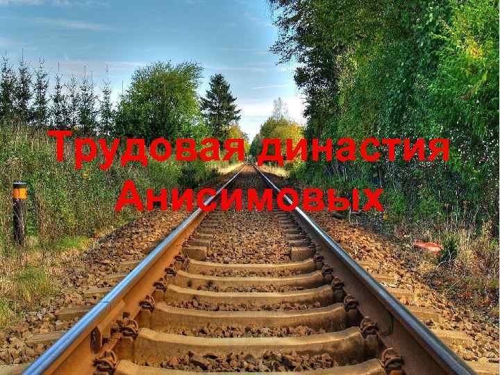 Трудовая династия Анисимовых 
