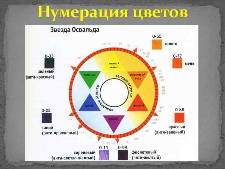 Нумерация цветов 
