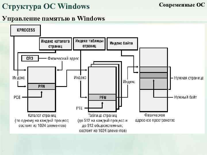 Структура ОС Windows Управление памятью в Windows Современные ОС 