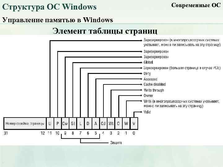 Структура ОС Windows Управление памятью в Windows Элемент таблицы страниц Современные ОС 