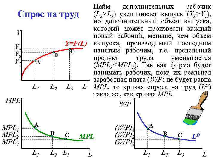 Найм дополнительных рабочих (L 2>L 1) увеличивает выпуск (Y 2>Y 1), Спрос на труд