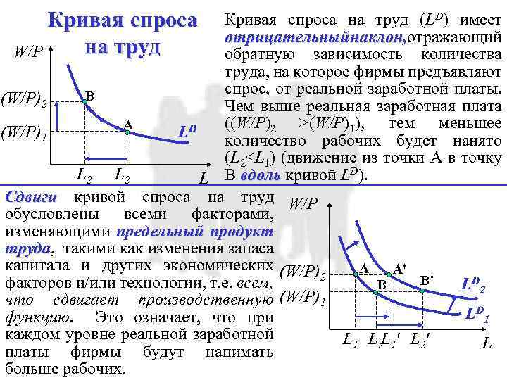 Кривая спроса на труд W/P Кривая спроса на труд (LD) имеет отрицательный наклон, отражающий