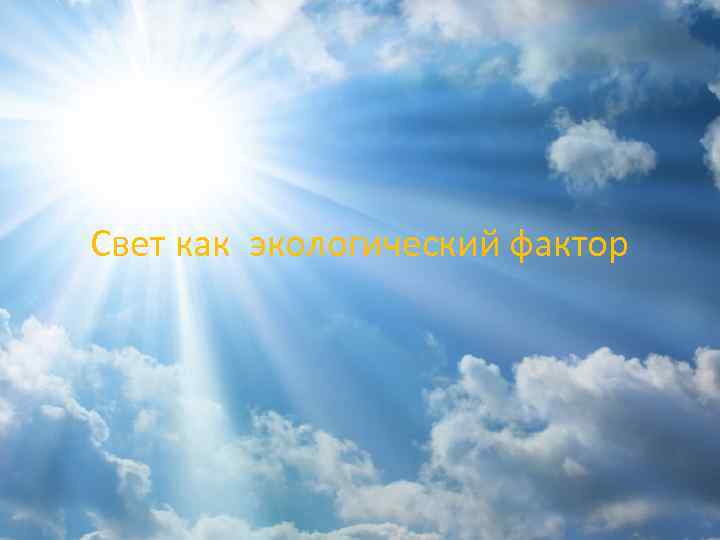 Свет как экологический фактор 