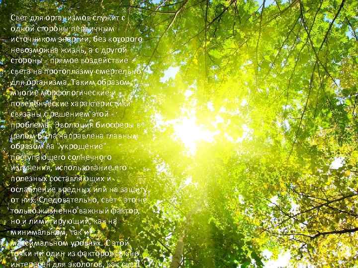Свет для организмов служит с одной стороны первичным источником энергии, без которого невозможна жизнь,