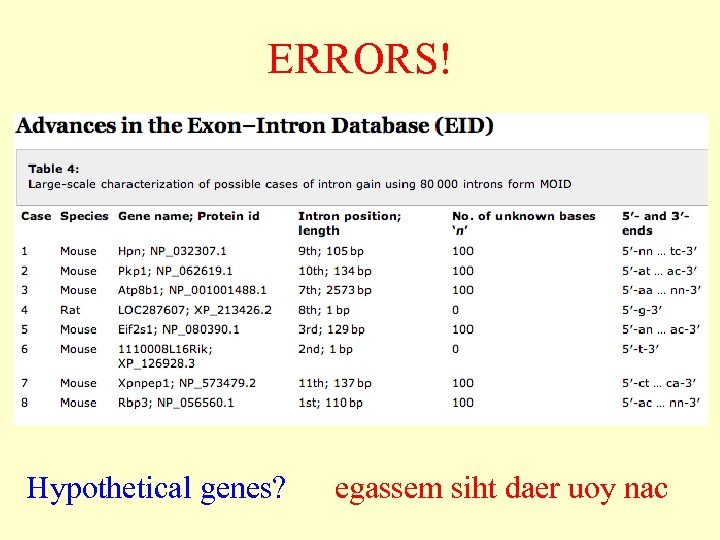 ERRORS! Hypothetical genes? egassem siht daer uoy nac 