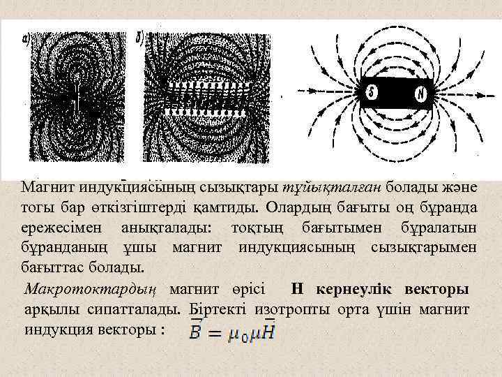 Магнит индукциясының сызықтары тұйықталған болады және тогы бар өткізгіштерді қамтиды. Олардың бағыты оң бұранда