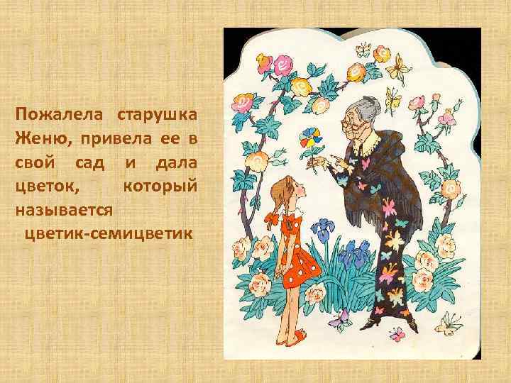 Пожалела старушка Женю, привела ее в свой сад и дала цветок, который называется цветик-семицветик