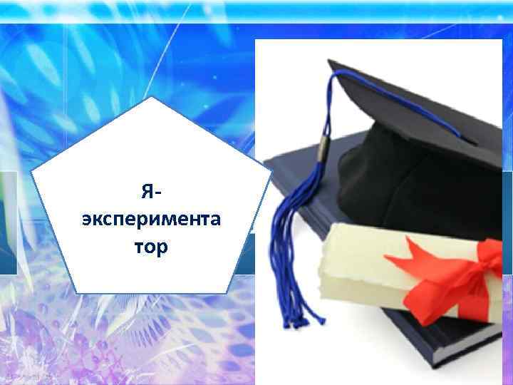 Яэксперимента тор 