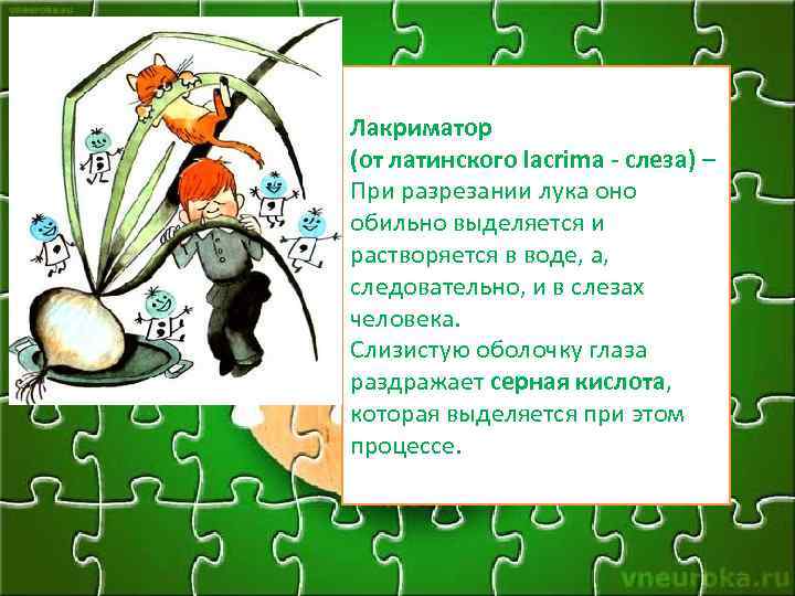 Лакриматор (от латинского lacrima - слеза) – При разрезании лука оно обильно выделяется и