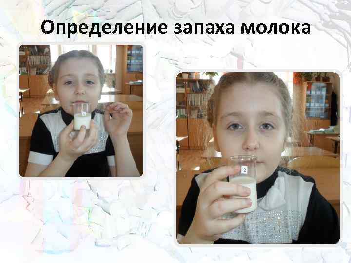 Определение запаха молока 