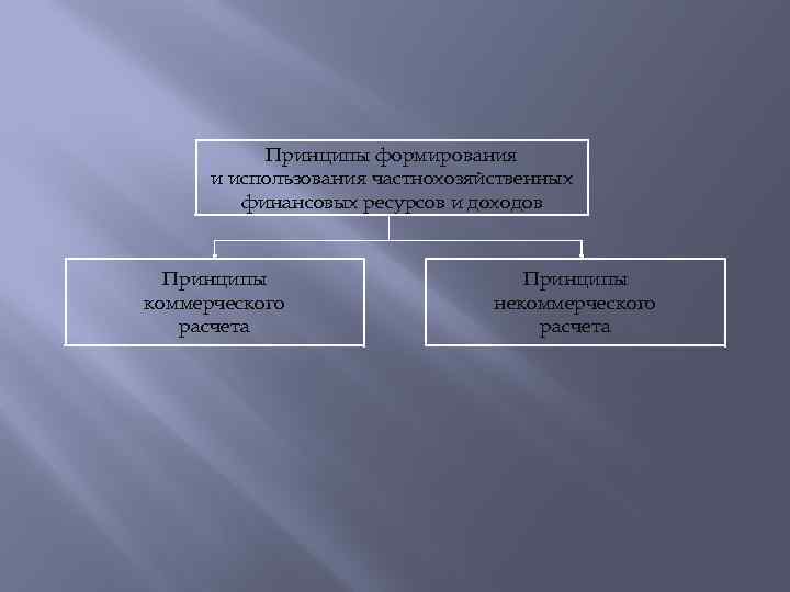 Принципы формирования и использования частнохозяйственных финансовых ресурсов и доходов Принципы коммерческого расчета Принципы некоммерческого