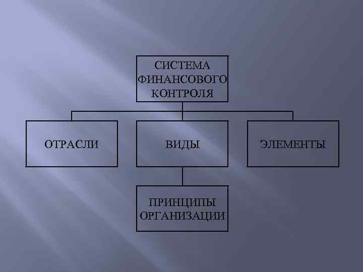 СИСТЕМА ФИНАНСОВОГО КОНТРОЛЯ ОТРАСЛИ ВИДЫ ПРИНЦИПЫ ОРГАНИЗАЦИИ ЭЛЕМЕНТЫ 