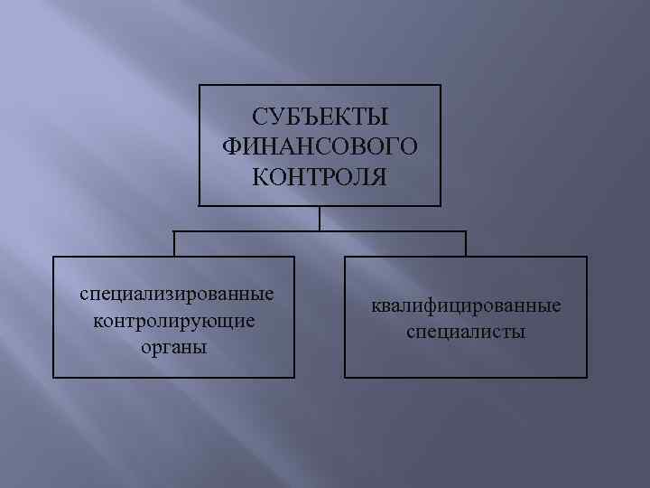 СУБЪЕКТЫ ФИНАНСОВОГО КОНТРОЛЯ специализированные контролирующие органы квалифицированные специалисты 