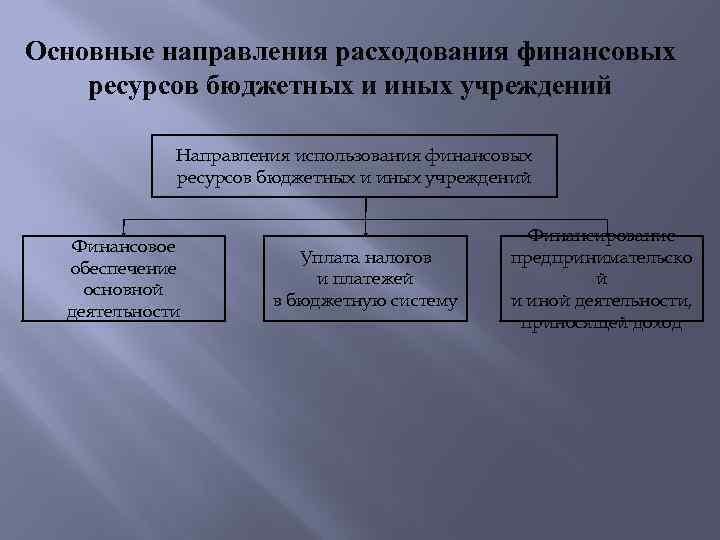 Основные направления расходования финансовых ресурсов бюджетных и иных учреждений Направления использования финансовых ресурсов бюджетных