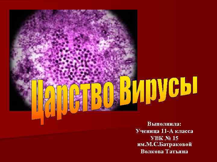 Выполнила: Ученица 11 -А класса УВК № 15 им. М. С. Батраковой Волкова Татьяна