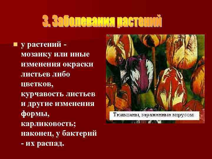 n у растений мозаику или иные изменения окраски листьев либо цветков, курчавость листьев и