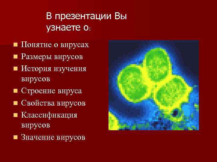 В презентации Вы узнаете о: n n n n Понятие о вирусах Размеры вирусов