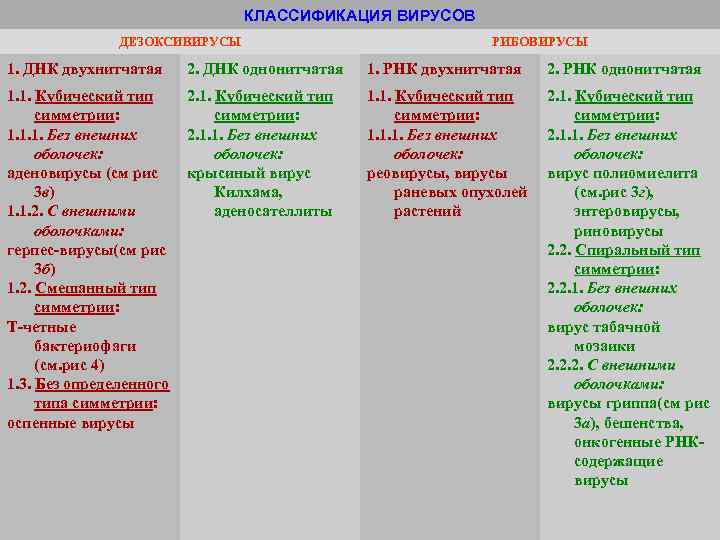 КЛАССИФИКАЦИЯ ВИРУСОВ ДЕЗОКСИВИРУСЫ РИБОВИРУСЫ 1. ДНК двухнитчатая 2. ДНК однонитчатая 1. РНК двухнитчатая 2.