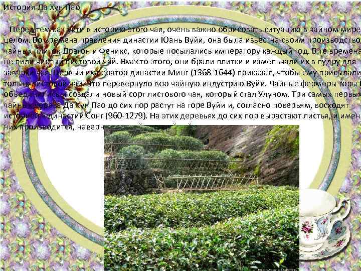 История Да Хун Пао Перед тем как уйти в историю этого чая, очень важно