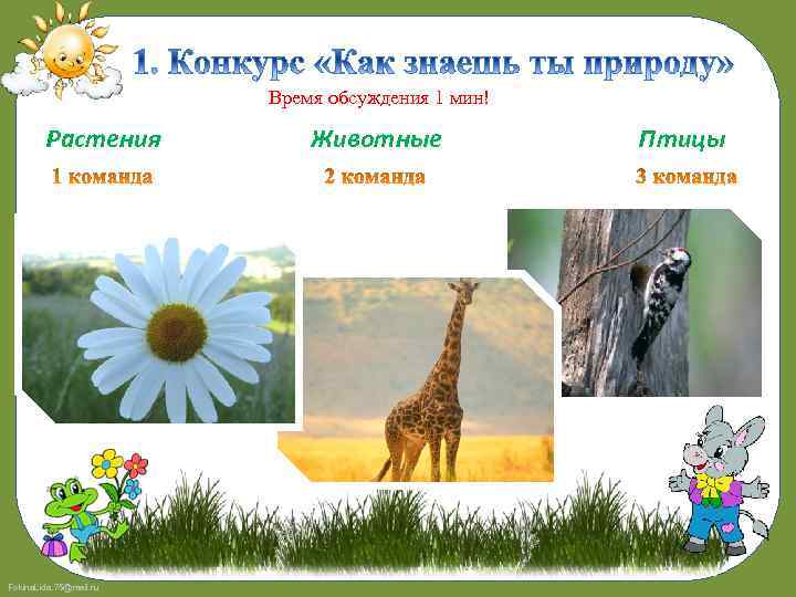 Время обсуждения 1 мин! Растения Fokina. Lida. 75@mail. ru Животные Птицы 