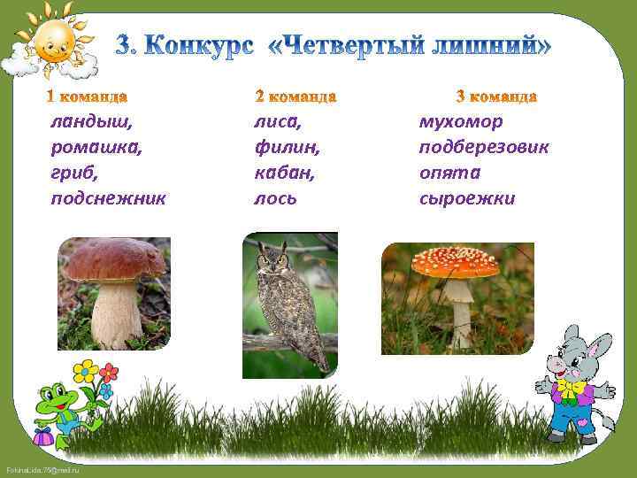 ландыш, ромашка, гриб, подснежник Fokina. Lida. 75@mail. ru лиса, филин, кабан, лось мухомор подберезовик