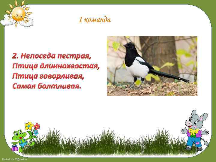 2. Непоседа пестрая, Птица длиннохвостая, Птица говорливая, Самая болтливая. Fokina. Lida. 75@mail. ru 