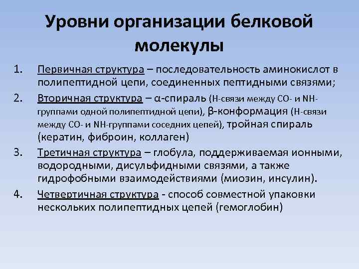 Уровни организации белковой молекулы 1. 2. 3. 4. Первичная структура – последовательность аминокислот в