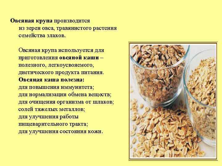 Овсяная крупа производится из зерен овса, травянистого растения семейства злаков. Овсяная крупа используется для
