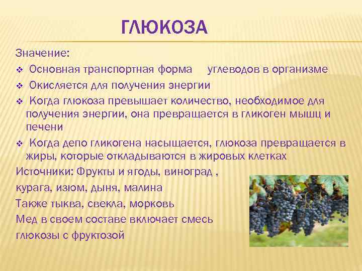ГЛЮКОЗА Значение: v Основная транспортная форма углеводов в организме v Окисляется для получения энергии