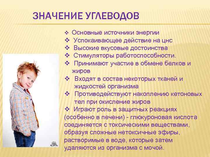 ЗНАЧЕНИЕ УГЛЕВОДОВ v Основные источники энергии v v Успокаивающее действие на цнс Высокие вкусовые