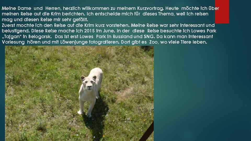 Meine Dame und Herren, herzlich willkommen zu meinem Kurzvortrag. Heute möchte ich über meinen