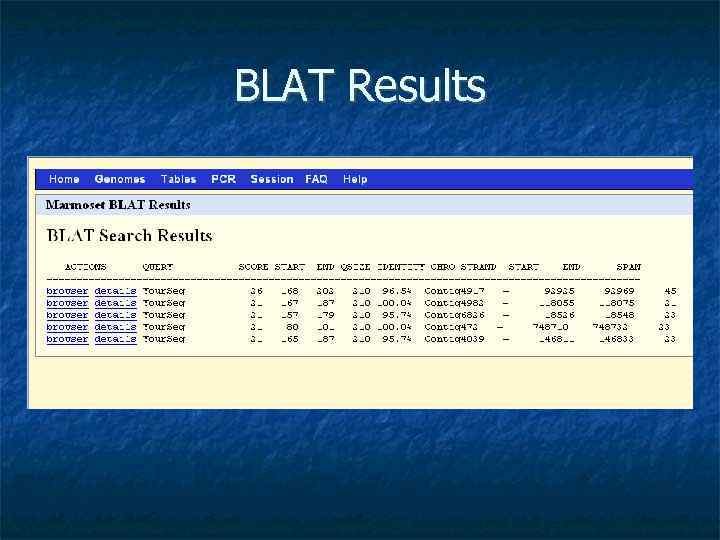 BLAT Results 