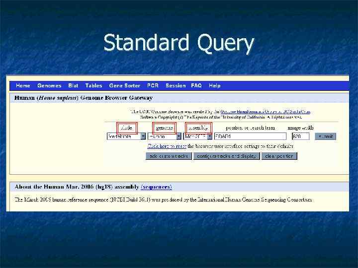 Standard Query 