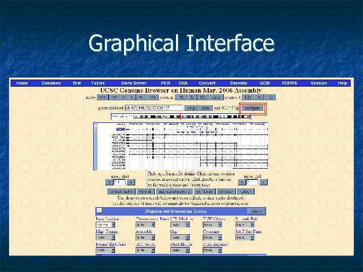 Graphical Interface 