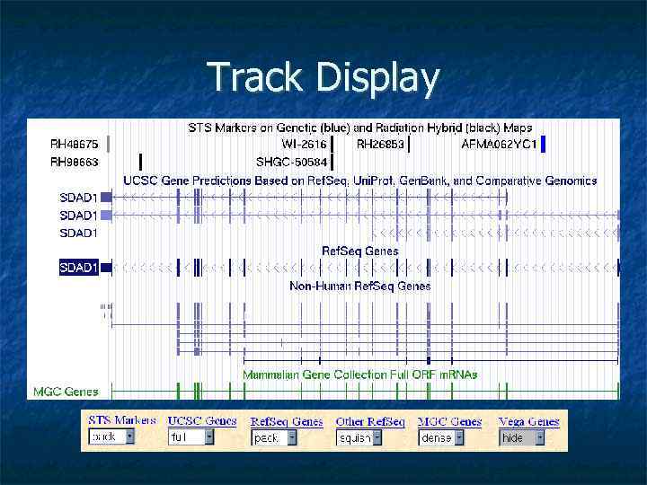 Track Display 