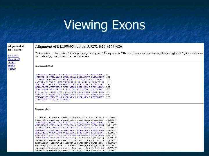 Viewing Exons 