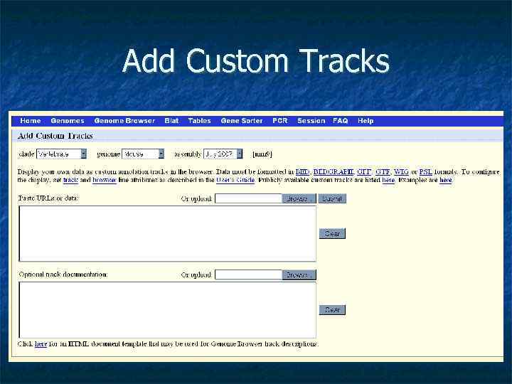 Add Custom Tracks 