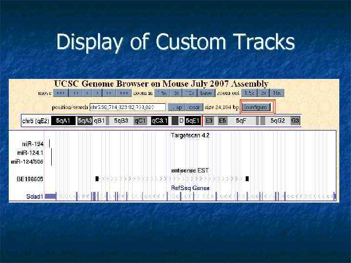 Display of Custom Tracks 