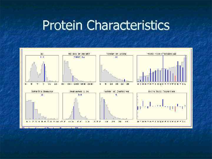 Protein Characteristics 