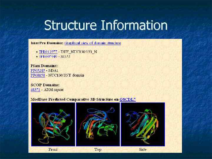 Structure Information 