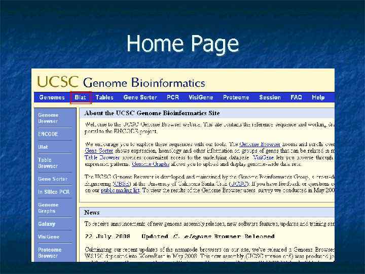 Home Page 