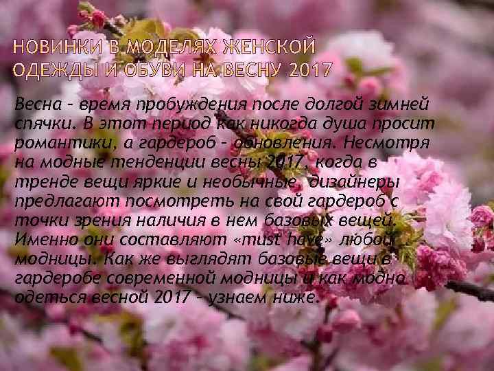 Весна – время пробуждения после долгой зимней спячки. В этот период как никогда душа