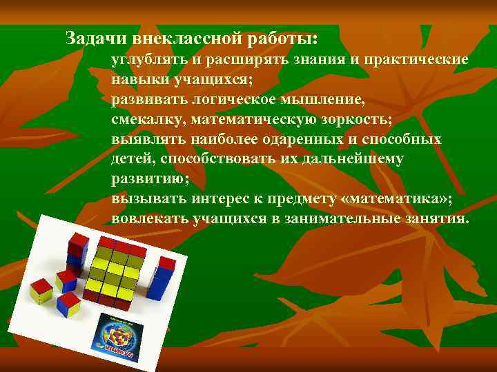 Задачи внеклассной работы: углублять и расширять знания и практические навыки учащихся; развивать логическое мышление,
