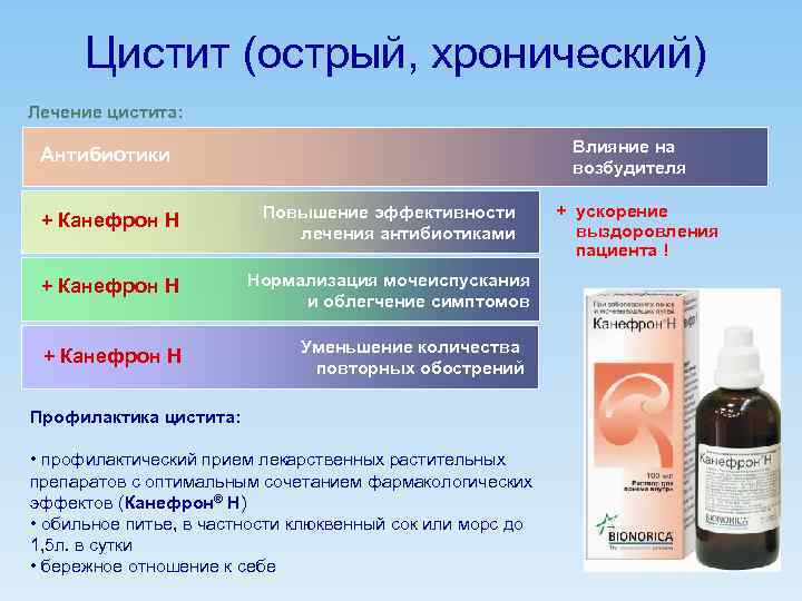 Цистит (острый, хронический) Лечение цистита: Влияние на возбудителя Антибиотики + Канефрон Н Повышение эффективности