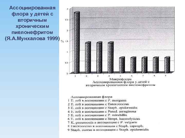 Ассоциированная флора у детей с вторичным хроническим пиелонефритом (Я. А. Мунхалова 1999) 