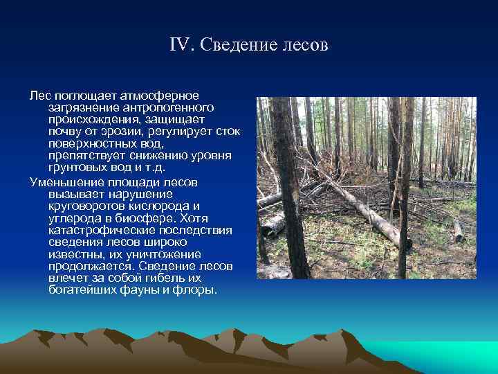 Сведение лесов в бассейнах рек приводит. Проблема сведения лесов. Атмосферное загрязнение лесов. Сведение лесов.