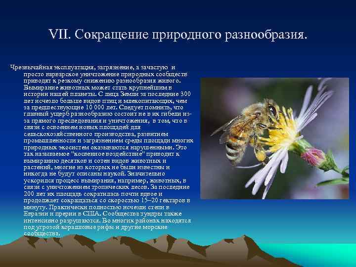 VII. Сокращение природного разнообразия. Чрезвычайная эксплуатация, загрязнение, а зачастую и просто варварское уничтожение природных